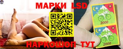 гидра Краснознаменск