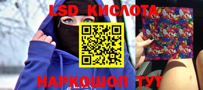гидра Краснознаменск