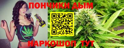 гидра Краснознаменск