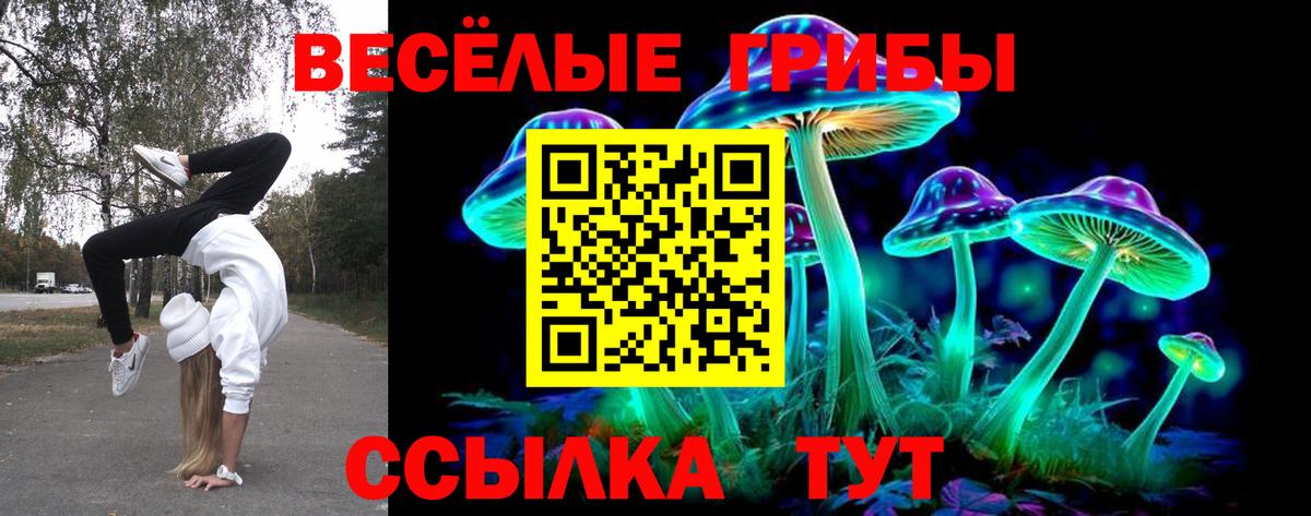 Лсд 25  Конопля  Вход с VPN  Кокаин  Мефедрон кристаллы  Коряжма  Марихуана  Гашиш 