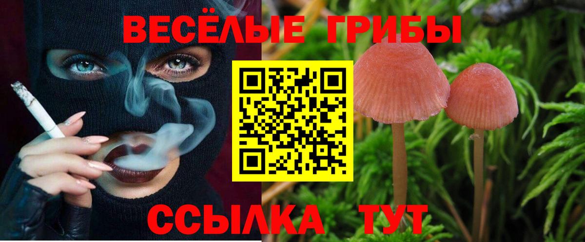 Галлюциногенные грибы прущие грибы Коряжма